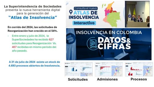 insolvencia, Reorganización, Liquidaciones