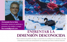 Fernando Ferro Vela Consultor senior en políticas y procesos de crédito y riesgo fferrovela@gmail.com 8 de julio de 2020